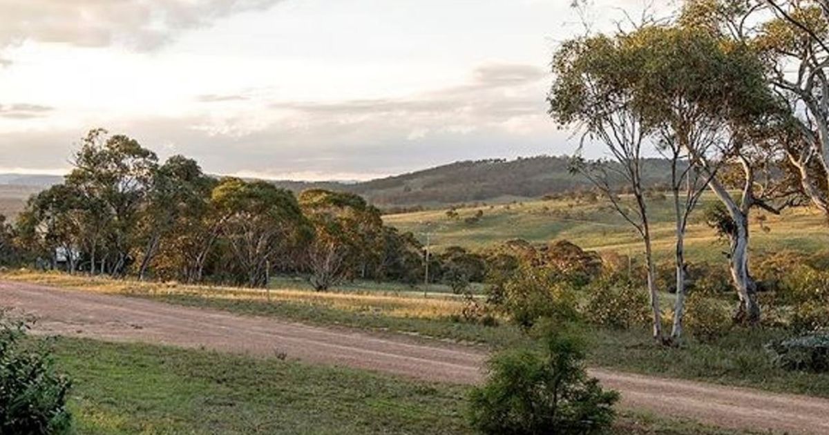 Berridale Maps, Attractions & Events